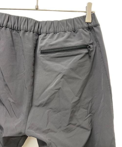 THE NORTH FACE（ザ ノース フェイス）THE NORTH FACE (ザ ノース フェイス) アルパインライトパンツ グレー サイズ:Ｌの古着・服飾アイテム