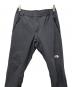 THE NORTH FACE (ザ ノース フェイス) アルパインライトパンツ グレー サイズ:Ｌ：10000円