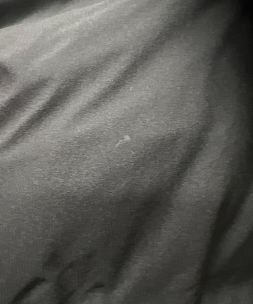 THE NORTH FACE（ザ ノース フェイス）THE NORTH FACE (ザ ノース フェイス) ビレイヤパーカ ブラック サイズ:Ｌの古着・服飾アイテム
