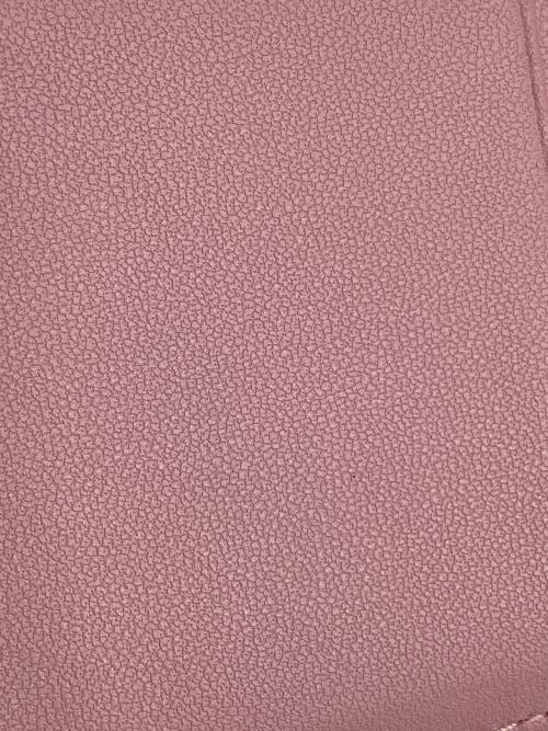Christian Dior（クリスチャン ディオール）Christian Dior (クリスチャン ディオール) フラグメントケース ピンクの古着・服飾アイテム