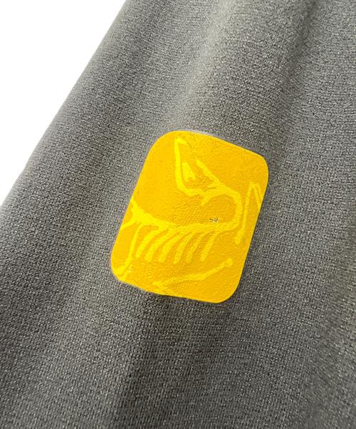 ARC'TERYX（アークテリクス）ARC'TERYX (アークテリクス) ハーフジップカットソー グレー サイズ:不明の古着・服飾アイテム