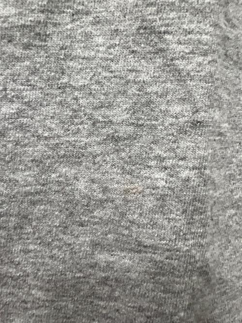 stussy（ステューシー）stussy (ステューシー) 半袖カットソー グレー サイズ:ＸＬの古着・服飾アイテム
