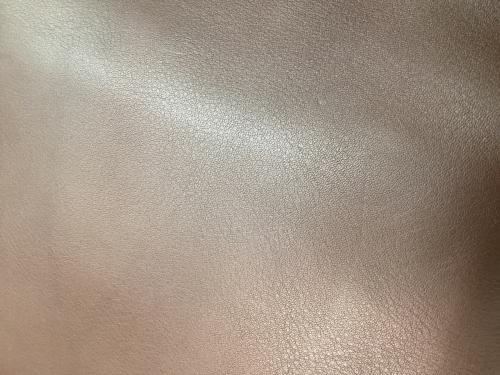COACH（コーチ）COACH (コーチ) ショルダーバッグ ブラウンの古着・服飾アイテム