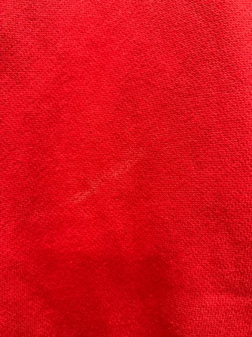 POLO RALPH LAUREN（ポロ・ラルフローレン）POLO RALPH LAUREN (ポロ・ラルフローレン) ハーフジッププルオーバースウェット レッド×ブラック サイズ:Ｌの古着・服飾アイテム