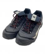 SALOMONサロモン）の古着「X-ALP ESILL」｜グレー
