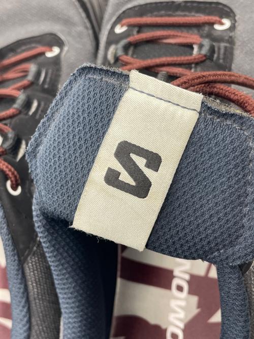 SALOMON（サロモン）SALOMON (サロモン) X-ALP ESILL グレー サイズ:JP26.5の古着・服飾アイテム