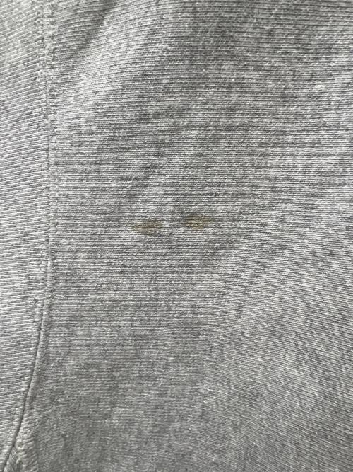 Champion REVERSE WEAVE（チャンピオン リバース ウィーブ）Champion REVERSE WEAVE (チャンピオン リバース ウィーブ) ジップパーカー グレー サイズ:ＸＬの古着・服飾アイテム