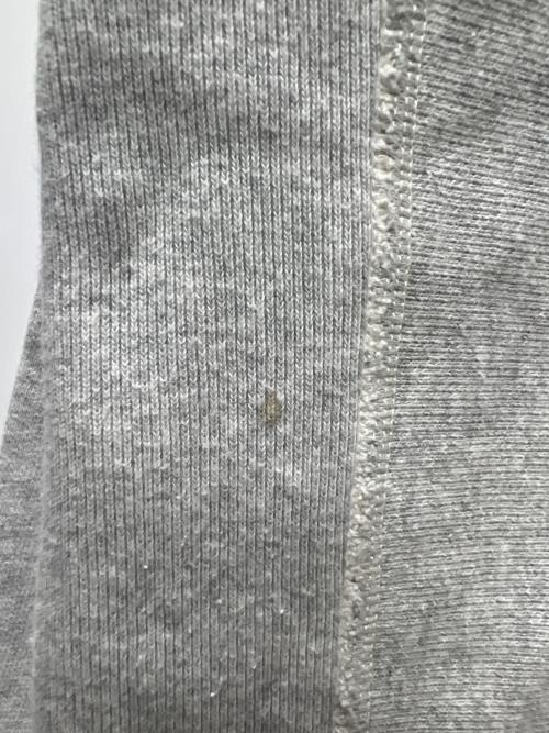 Champion REVERSE WEAVE（チャンピオン リバース ウィーブ）Champion REVERSE WEAVE (チャンピオン リバース ウィーブ) ジップパーカー グレー サイズ:ＸＬの古着・服飾アイテム