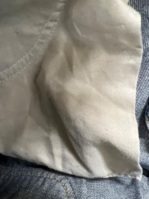 CarHartt（カーハート）CarHartt (カーハート) ペインターパンツ ブルー サイズ:36の古着・服飾アイテム