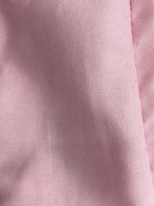 CHANEL（シャネル）CHANEL (シャネル) ショルダーバッグ ピンクの古着・服飾アイテム