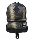 THE NORTH FACE×SUPREMEザ ノース フェイス×シュプリーム）の古着「Snakeskin Lightweight Daypack　THE NORTH FACE（ザ ノース フェイス）　Supreme（シュプリーム）　NF0A3KVJ」｜グレー