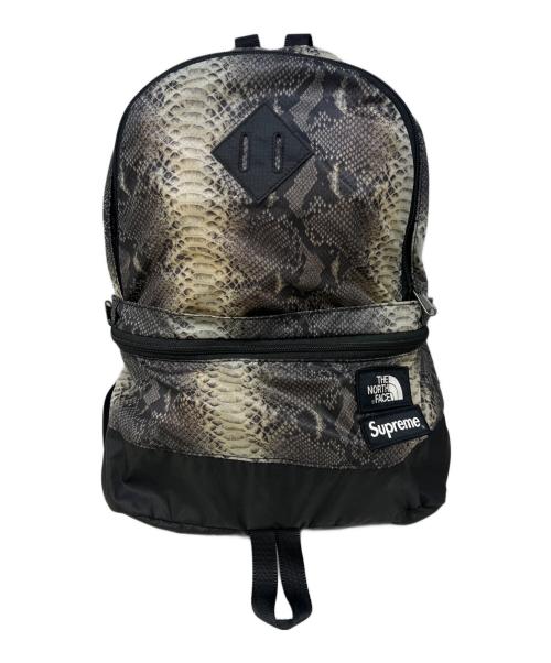 THE NORTH FACE（ザ ノース フェイス）THE NORTH FACE Supreme (シュプリーム) Snakeskin Lightweight Daypack　THE NORTH FACE（ザ ノース フェイス）　Supreme（シュプリーム）　NF0A3KVJ グレーの古着・服飾アイテム