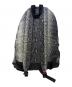 THE NORTH FACE Supreme (シュプリーム) Snakeskin Lightweight Daypack　THE NORTH FACE（ザ ノース フェイス）　Supreme（シュプリーム）　NF0A3KVJ グレー：11000円