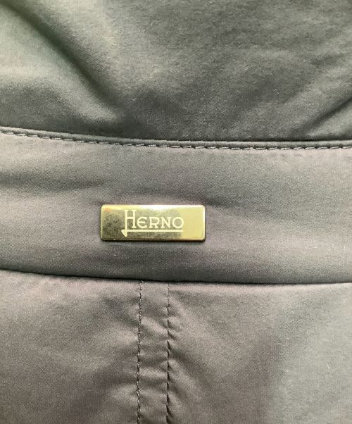 HERNO（ヘルノ）HERNO (ヘルノ) ダウンジャケット ネイビー サイズ:46の古着・服飾アイテム
