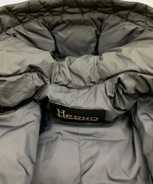 HERNO（ヘルノ）HERNO (ヘルノ) ダウンコート ネイビー サイズ:44の古着・服飾アイテム