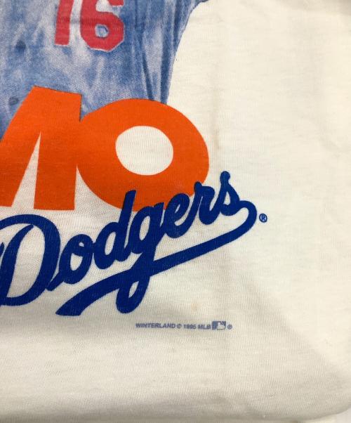 Hanes（ヘインズ）Hanes (ヘインズ) 半袖カットソー ホワイト サイズ:Ｍの古着・服飾アイテム