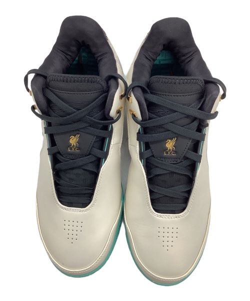 NIKE（ナイキ）NIKE (ナイキ) ナイキ レブロン NXXT GEN AMPD ホワイト×グリーン サイズ:28.5の古着・服飾アイテム