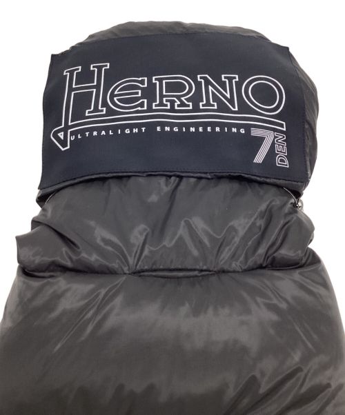 HERNO（ヘルノ）HERNO (ヘルノ) 7DENIR Packable Hooded Reversible Down Jacket（7デニール パッカブル フード付 リバーシブル ダウンジャケット） ネイビー サイズ:46の古着・服飾アイテム