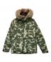 THE NORTH FACE（ザ ノース フェイス）の古着「エレバスジャケット」｜グリーン