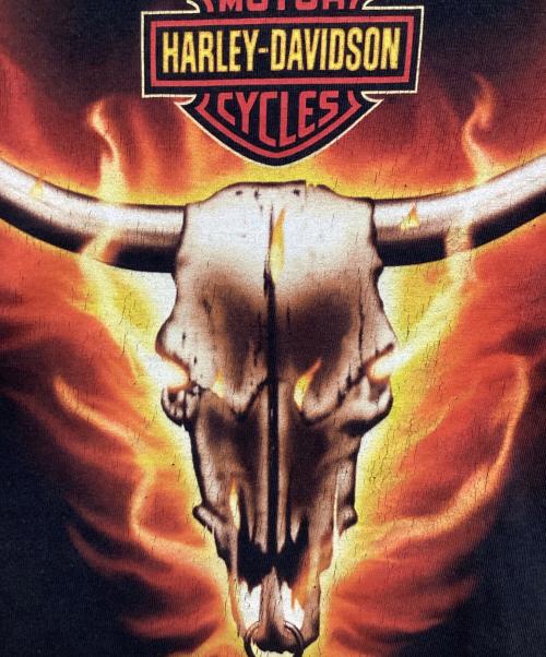 HARLEY-DAVIDSON（ハーレーダビッドソン）HARLEY-DAVIDSON (ハーレーダビッドソン) Tシャツ ブラック サイズ:XLの古着・服飾アイテム
