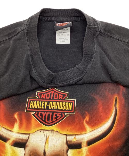 HARLEY-DAVIDSON（ハーレーダビッドソン）HARLEY-DAVIDSON (ハーレーダビッドソン) Tシャツ ブラック サイズ:XLの古着・服飾アイテム