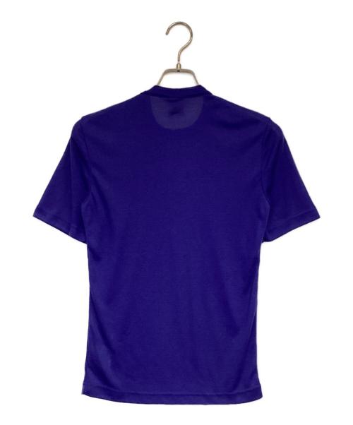 Patagonia CAPILENE（パタゴニアキャプリーン）Patagonia CAPILENE (パタゴニアキャプリーン) 半袖カットソー ブルー サイズ:Sの古着・服飾アイテム