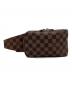LOUIS VUITTON（ルイ ヴィトン）の古着「ダミエ ジェロニモス ウェストバッグ」