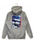 THE NORTH FACE (ザ ノース フェイス) 30th ヌプシスウェットフーディ グレー サイズ:M：9000円
