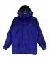 Patagonia（パタゴニア）の古着「Storm Jacket（ストームジャケット）」｜ブルー