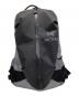ARC'TERYX（アークテリクス）の古着「別注 ARRO16 Backpack 」｜グレー×ブラック
