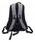 ARC'TERYX (アークテリクス) BEAMS (ビームス) 別注 ARRO16 Backpack  グレー×ブラック：10000円