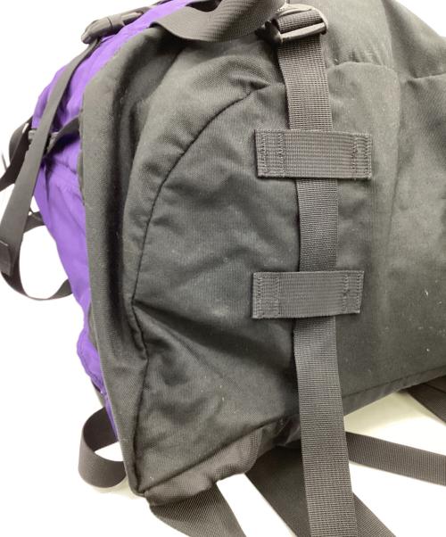 GREGORY（グレゴリー）GREGORY (グレゴリー) バックパック パープルの古着・服飾アイテム