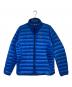 Patagonia（パタゴニア）の古着「ダウン セーター」｜ブルー