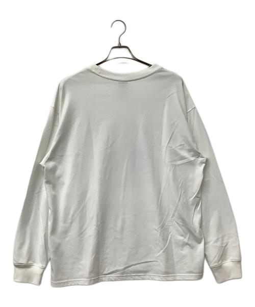 NIKE ACG（ナイキエーシージー）NIKE ACG (ナイキエージーシー) ロングカットソー ロングスリーブTシャツ ホワイト サイズ:XXLの古着・服飾アイテム