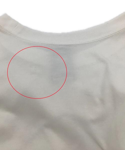 NIKE ACG（ナイキエーシージー）NIKE ACG (ナイキエージーシー) ロングカットソー ロングスリーブTシャツ ホワイト サイズ:XXLの古着・服飾アイテム