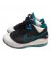 NIKE (ナイキ) LEBRON VII QS ブラック×ホワイト サイズ:25cm：8000円