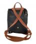 LONGCHAMP (ロンシャン) リュック Le Pliage ブラウン×ブラック：8000円