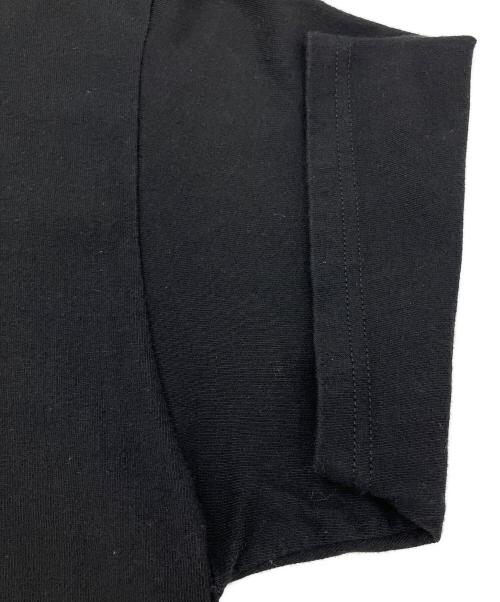 stussy（ステューシー）stussy (ステューシー) 半袖カットソー ブラック サイズ:Lの古着・服飾アイテム