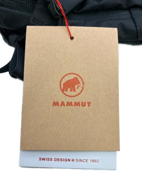 MAMMUT（マムート）MAMMUT (マムート) リュック Lithium 20 ブラックの古着・服飾アイテム