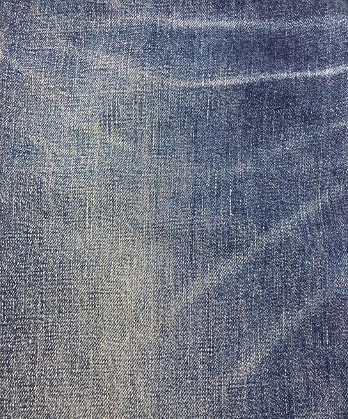 WAREHOUSE（ウエアハウス）WAREHOUSE (ウエアハウス) ジーンズ　水牛パッチ Lot 1001XX ブルー サイズ:不明の古着・服飾アイテム