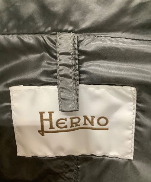 HERNO（ヘルノ）HERNO (ヘルノ) ダウンジャケット ネイビー サイズ:42の古着・服飾アイテム