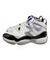 NIKE (ナイキ) Brand Jumpman Two Trey（ブランド ジャンプマン ツー トレイ） ホワイト サイズ:US11：8000円