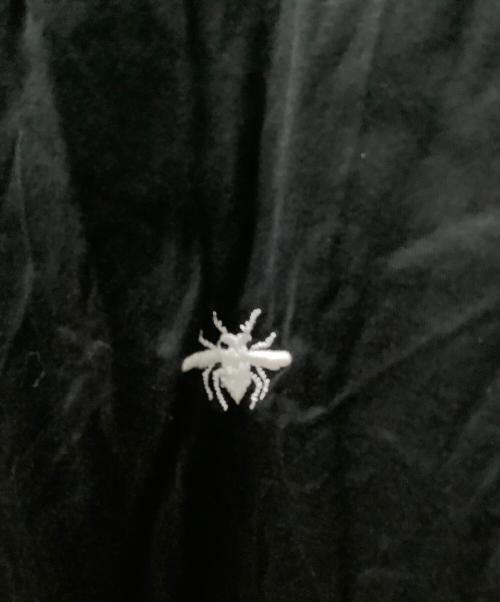 DIOR HOMME（ディオール オム）DIOR HOMME (ディオール オム) Tシャツ ブラック サイズ:Mの古着・服飾アイテム