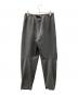 NIKE ACG (ナイキエージーシー) TRAIL EASE PANTS グレー サイズ:S：4000円