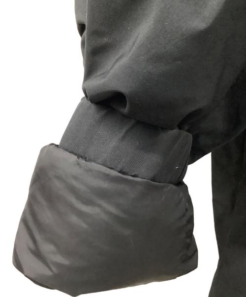 PHENIX（フェニックス）PHENIX (フェニックス) GORE-TEX DOWN L-7 JACKET WINDSTOPPER ブラック サイズ:Mの古着・服飾アイテム