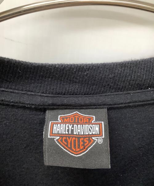 HARLEY-DAVIDSON（ハーレーダビッドソン）HARLEY-DAVIDSON (ハーレーダビッドソン) LOONEY TUNES (ルーニーチューンズ) 半袖カットソー ブラック サイズ:Lの古着・服飾アイテム