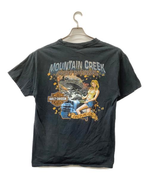 HARLEY-DAVIDSON（ハーレーダビッドソン）HARLEY-DAVIDSON (ハーレーダビッドソン) Mountain Creek ブラック サイズ:Lの古着・服飾アイテム