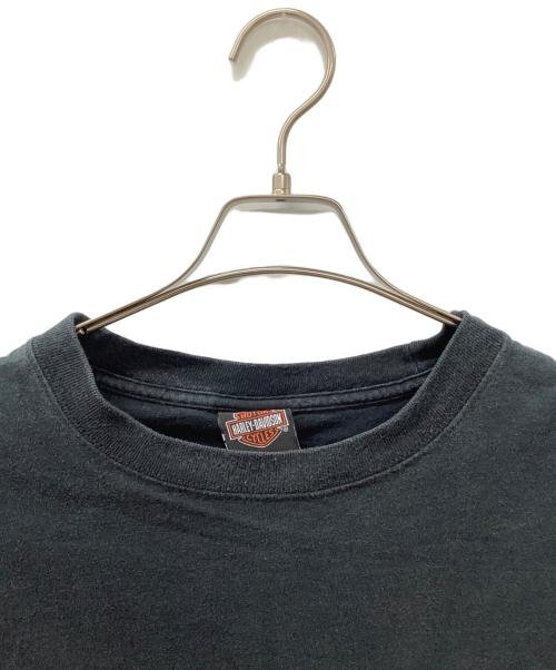 HARLEY-DAVIDSON（ハーレーダビッドソン）HARLEY-DAVIDSON (ハーレーダビッドソン) Mountain Creek ブラック サイズ:Lの古着・服飾アイテム