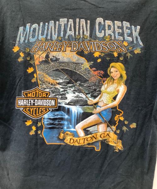 HARLEY-DAVIDSON（ハーレーダビッドソン）HARLEY-DAVIDSON (ハーレーダビッドソン) Mountain Creek ブラック サイズ:Lの古着・服飾アイテム