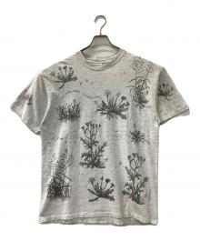 rel e vant products（レラバント プロダクツ）の古着「ダンデライオン 半袖Tシャツ」｜グレー